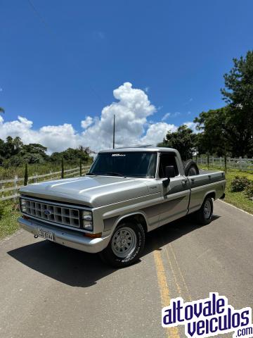 F-1000 MWM MODELO S.